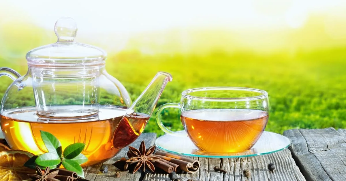 Origins of Tea in India