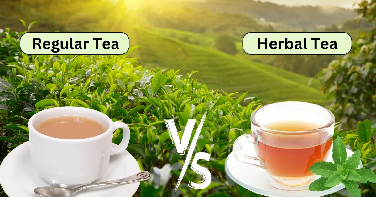 Top 10 Reasons to Switch to Herbal Tea Today